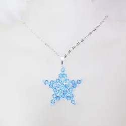 Pendant 45cm - Delphinus-Silver Chain - Pendant 45cm - Laiton argenté